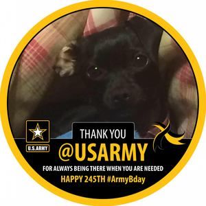 Meet your Posher, Michele